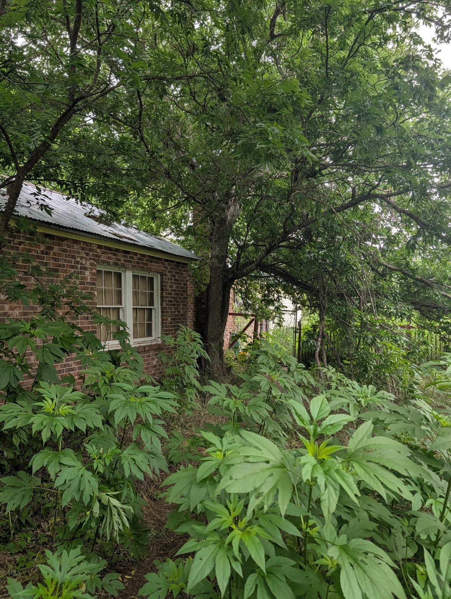 2.07 acres in Brown County - photo 16