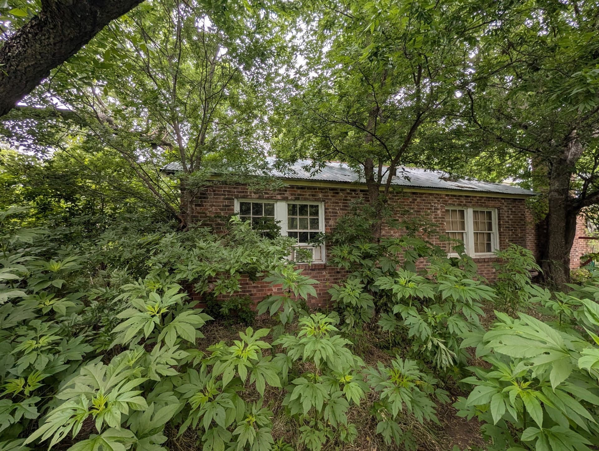 2.07 acres in Brown County gallery image 3