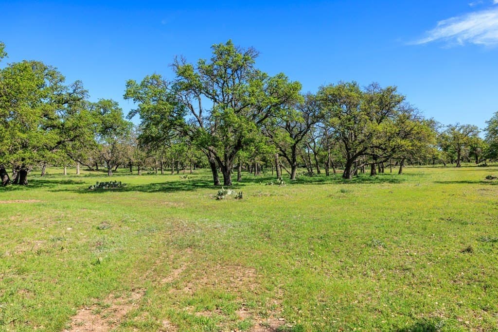 25 acres in Kerr County - photo 9