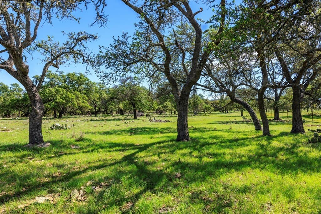 25 acres in Kerr County - photo 12
