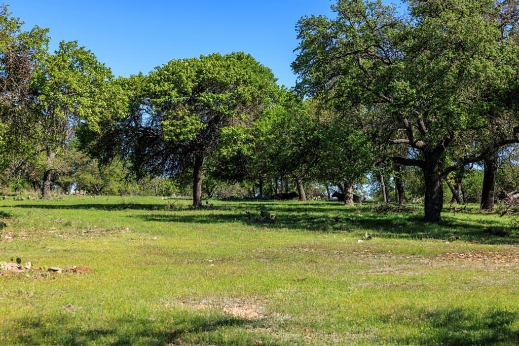 25 acres in Kerr County - photo 8