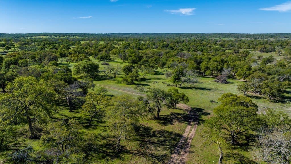 25 acres in Kerr County - photo 5