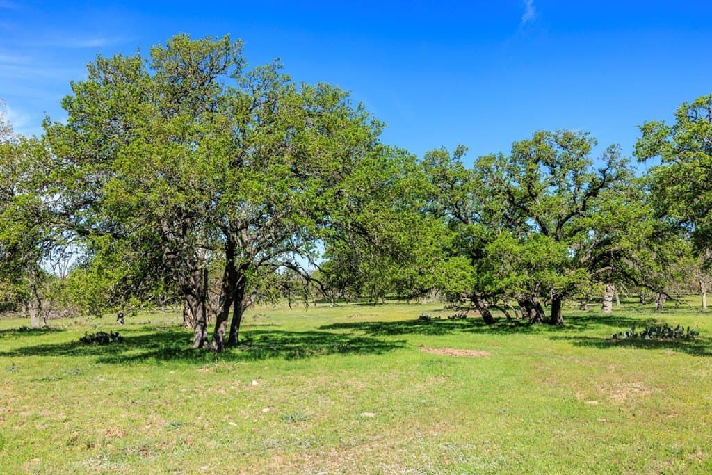 25 acres in Kerr County - photo 10
