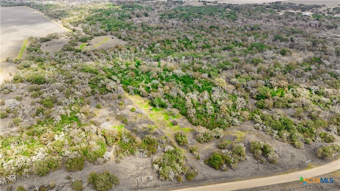 14 acres in Wharton County gallery image 4