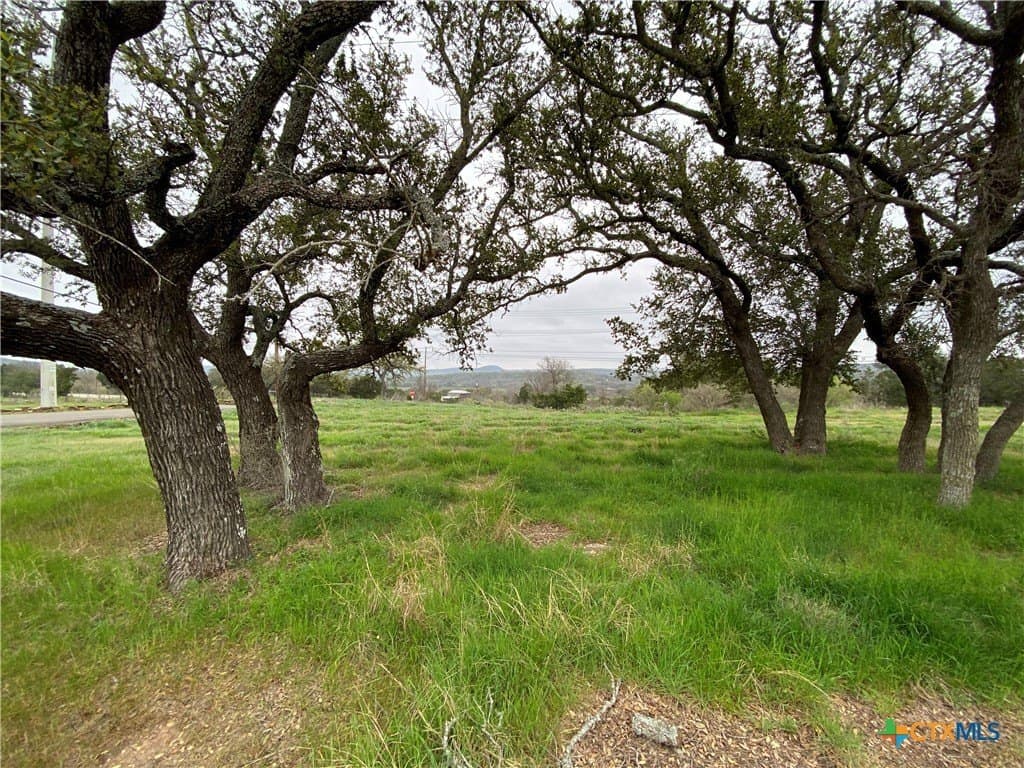 0.32 acres in Burnet County gallery image 3
