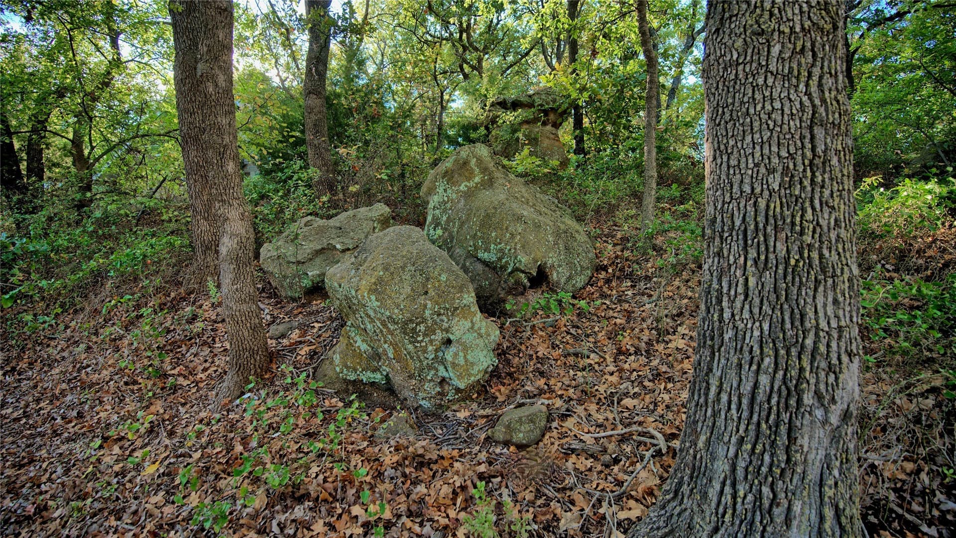 2.05 acres in Montague County - photo 28