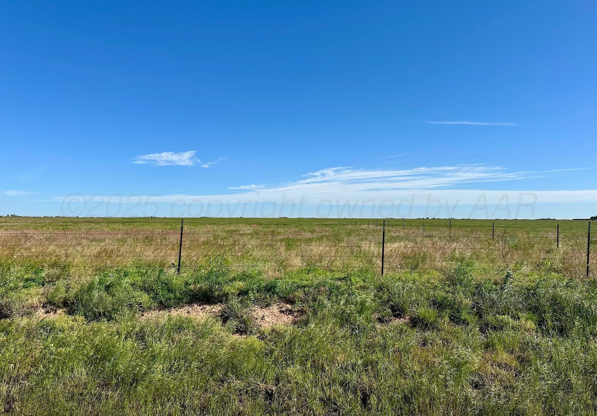 80 acres in Randall County gallery image 4