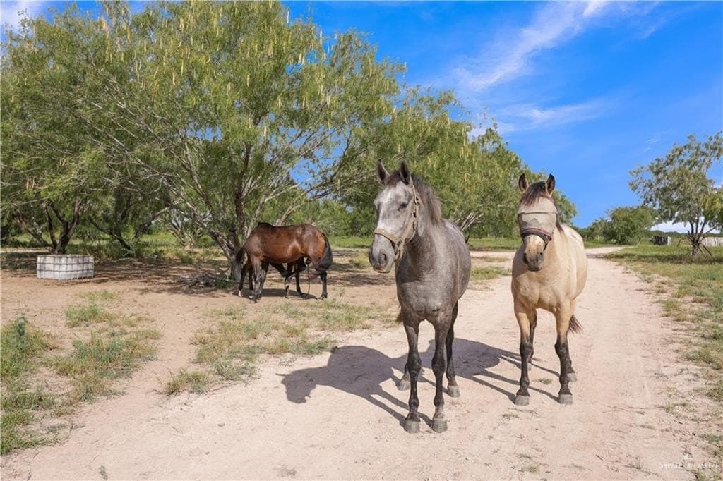 20 acres in Hidalgo County - photo 15