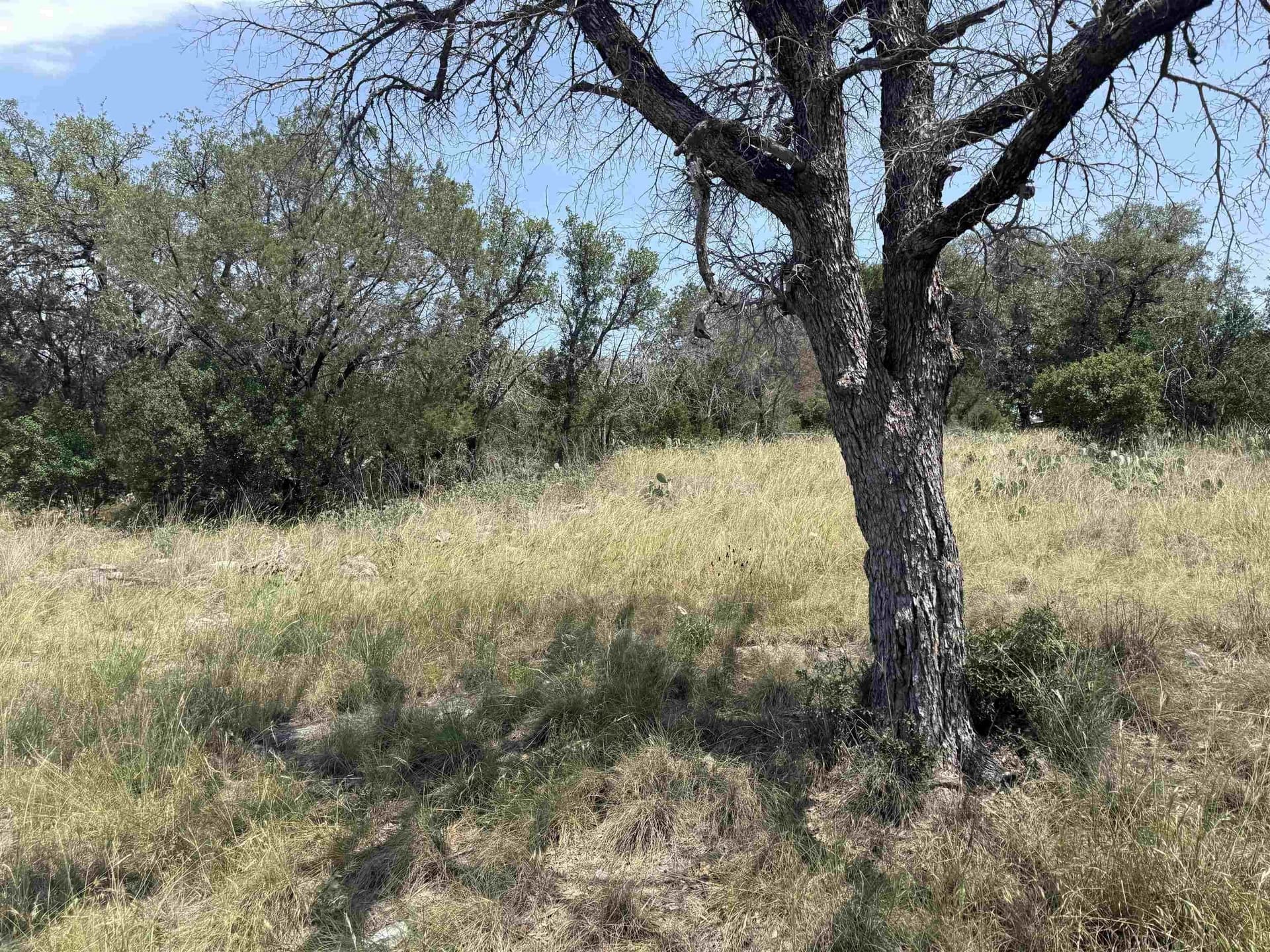 0.25 acres in Llano County - photo 13