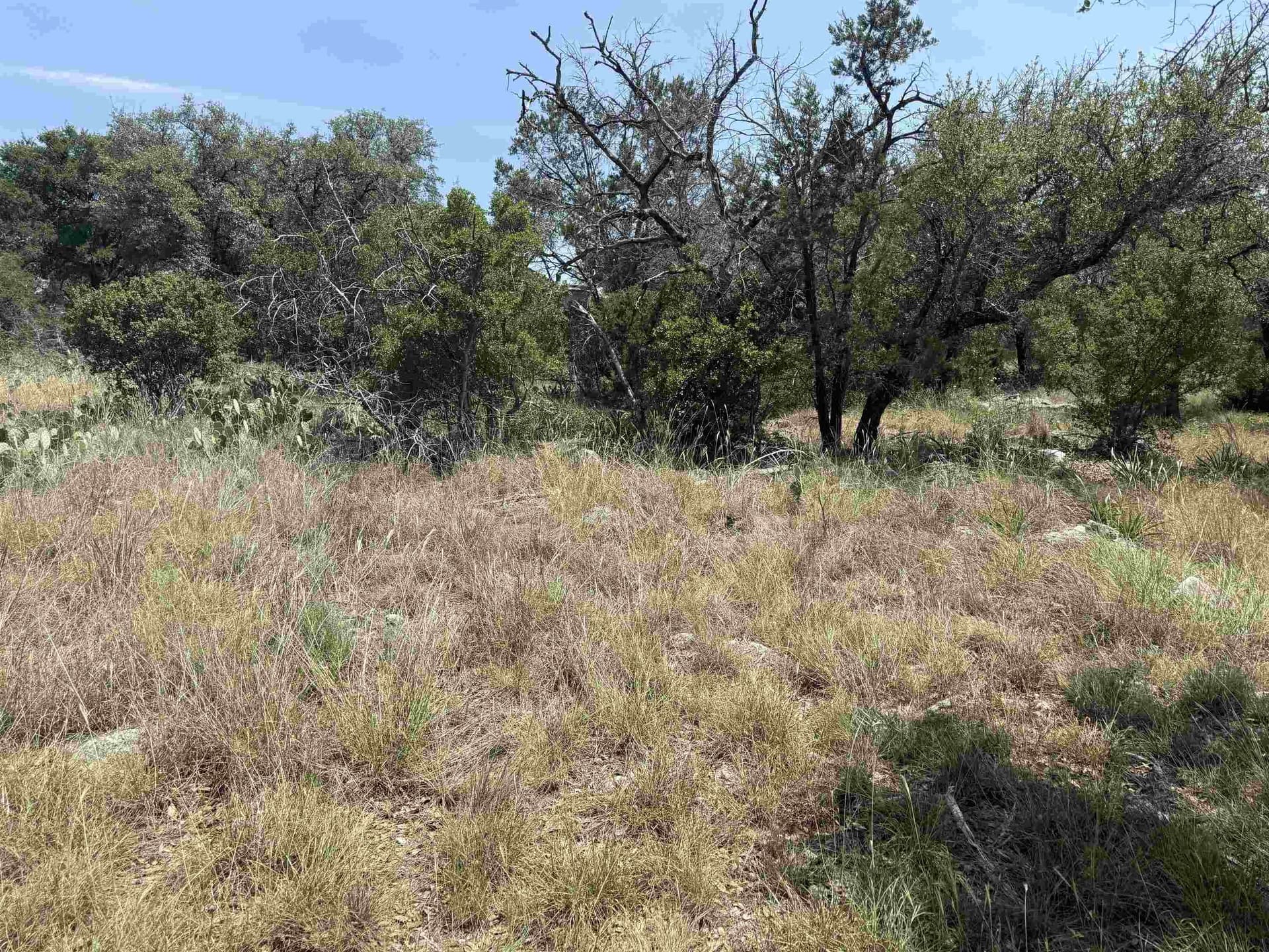 0.25 acres in Llano County - photo 21