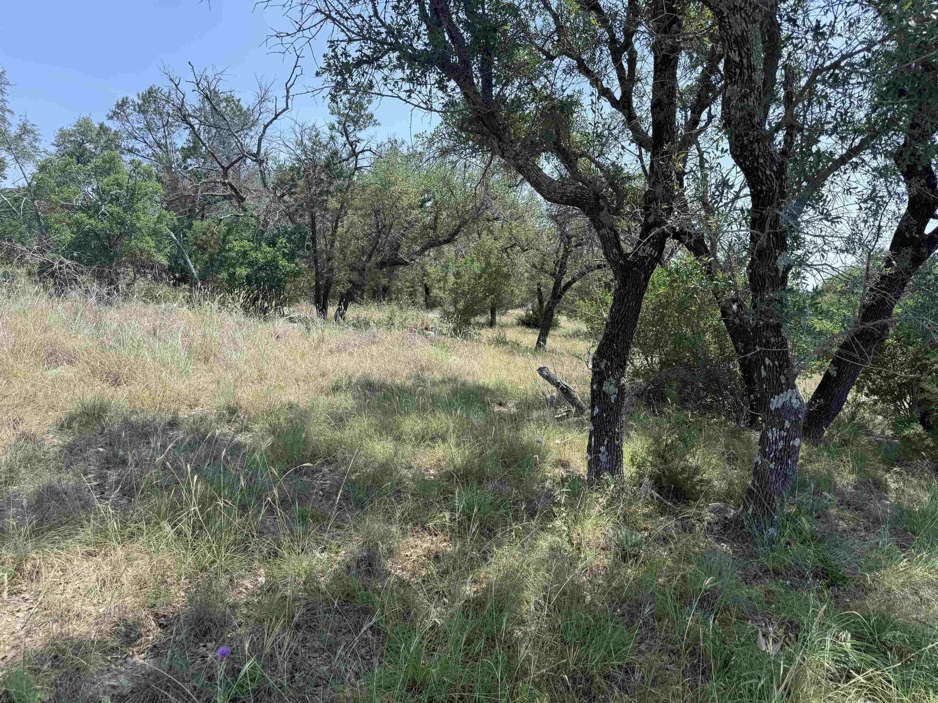 0.25 acres in Llano County - photo 18