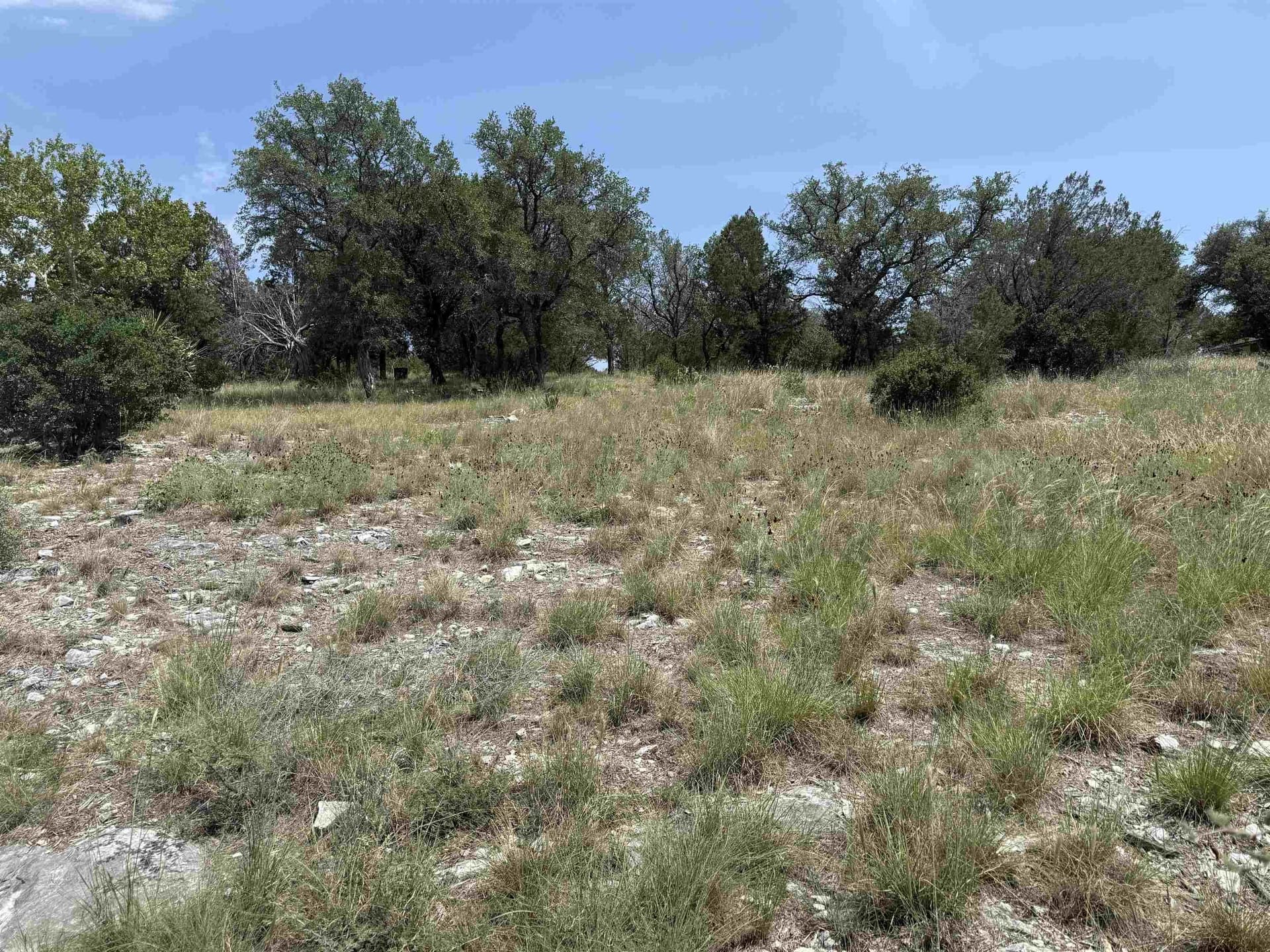 0.25 acres in Llano County - photo 11