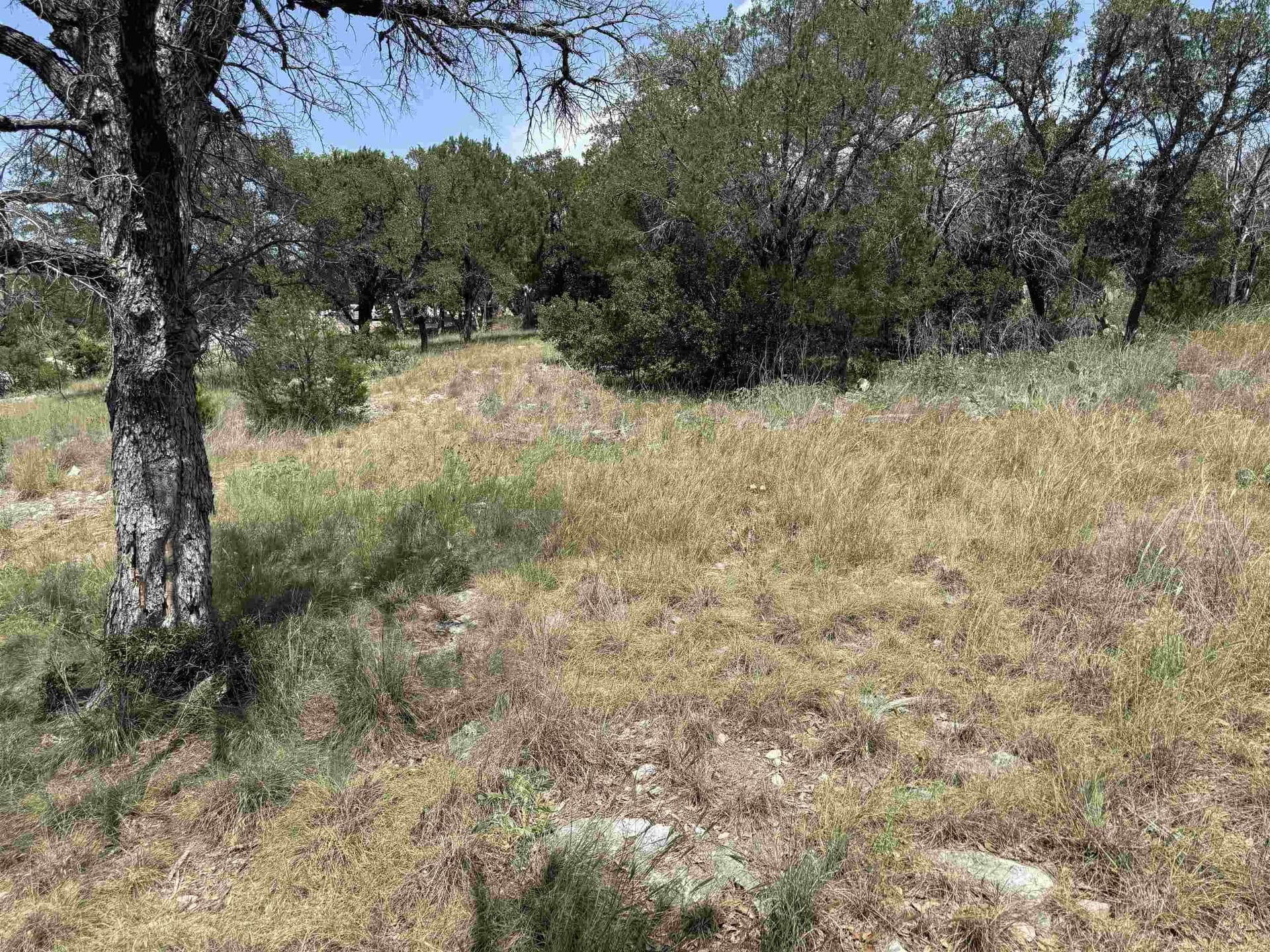 0.25 acres in Llano County - photo 23