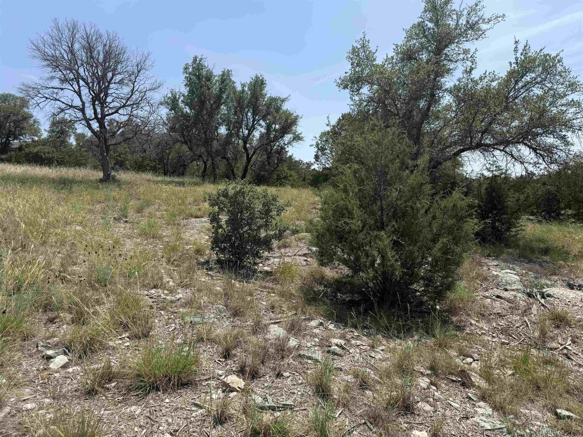 0.25 acres in Llano County - photo 12