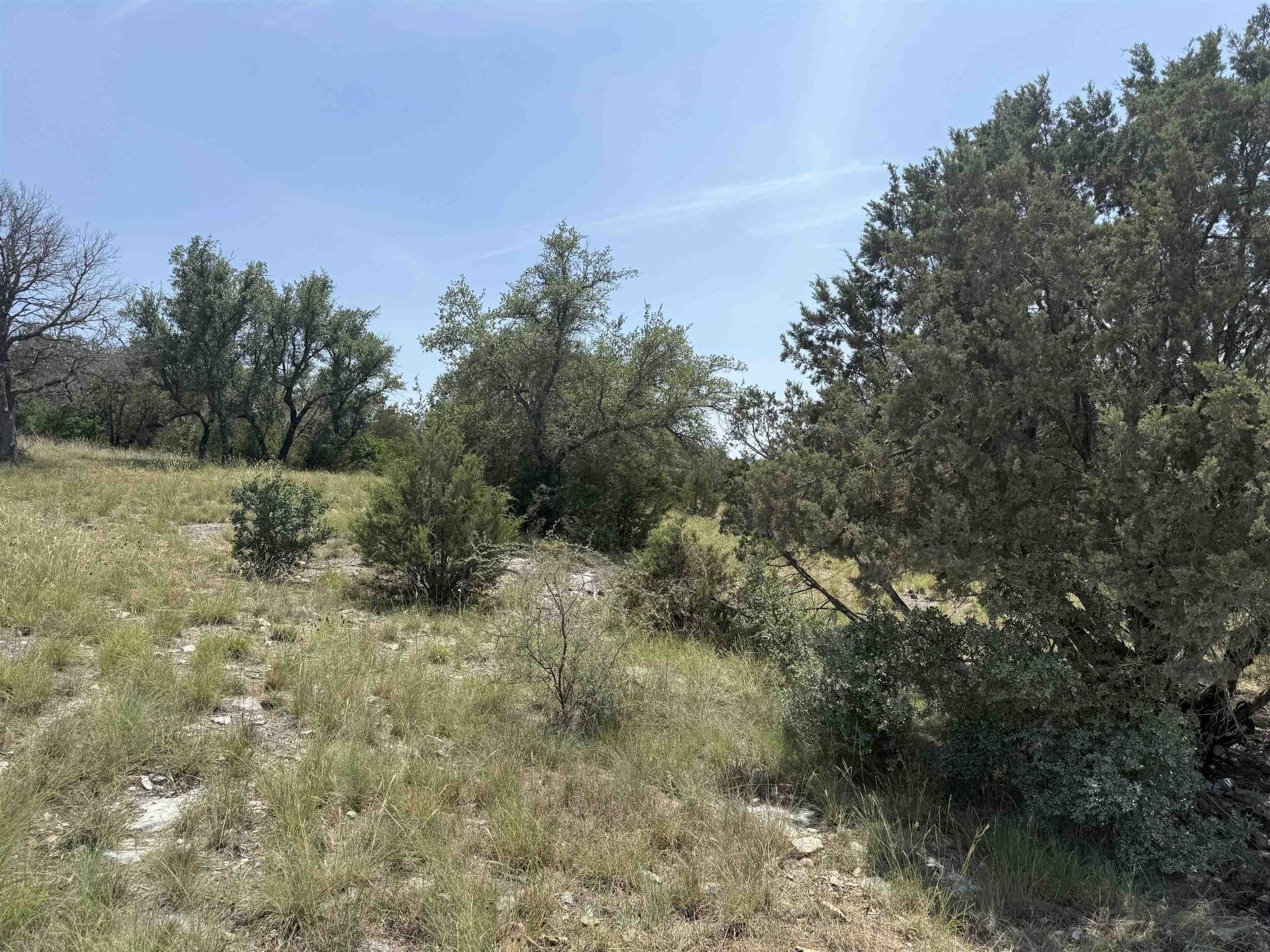 0.25 acres in Llano County - photo 9