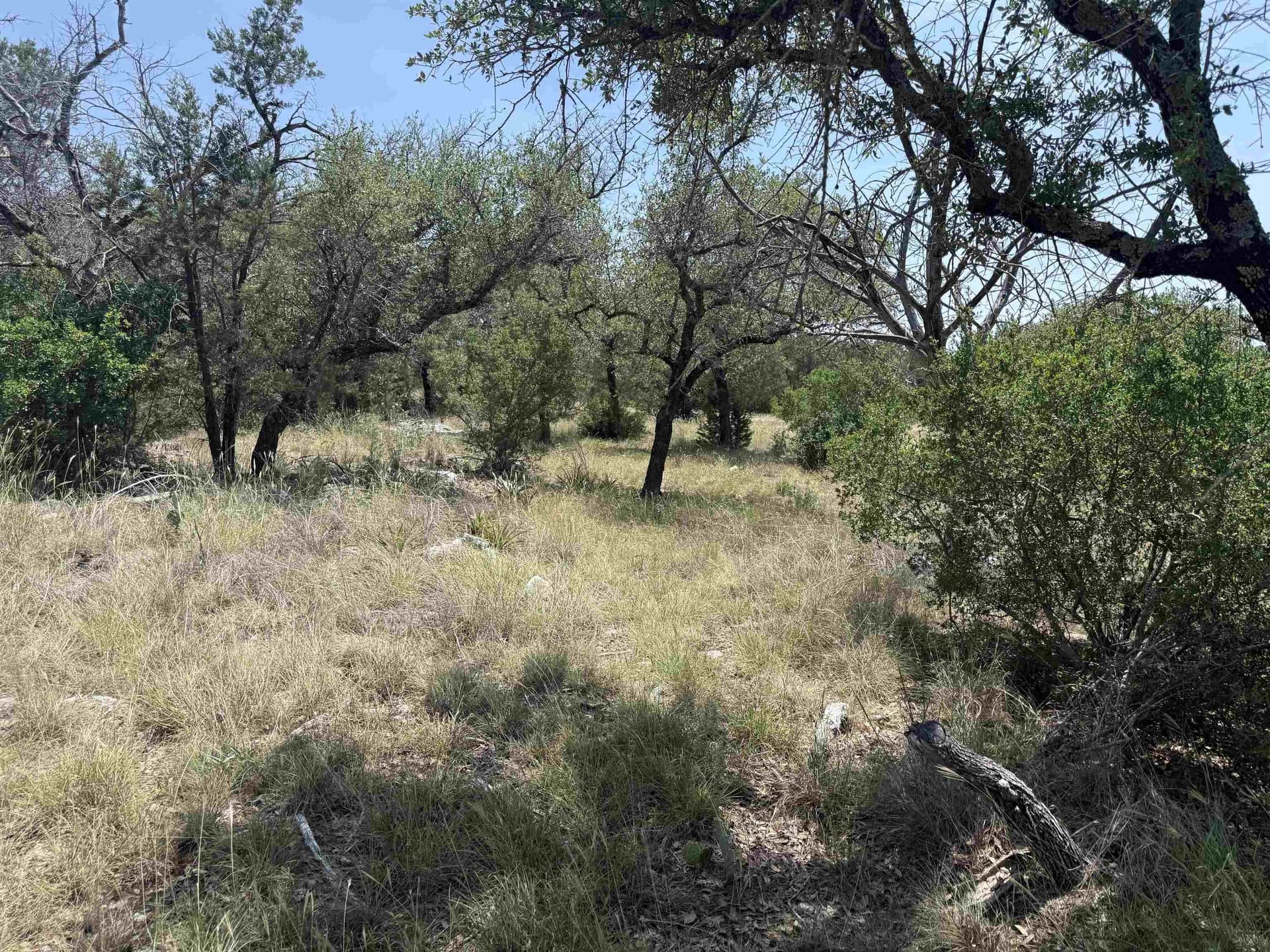 0.25 acres in Llano County - photo 20