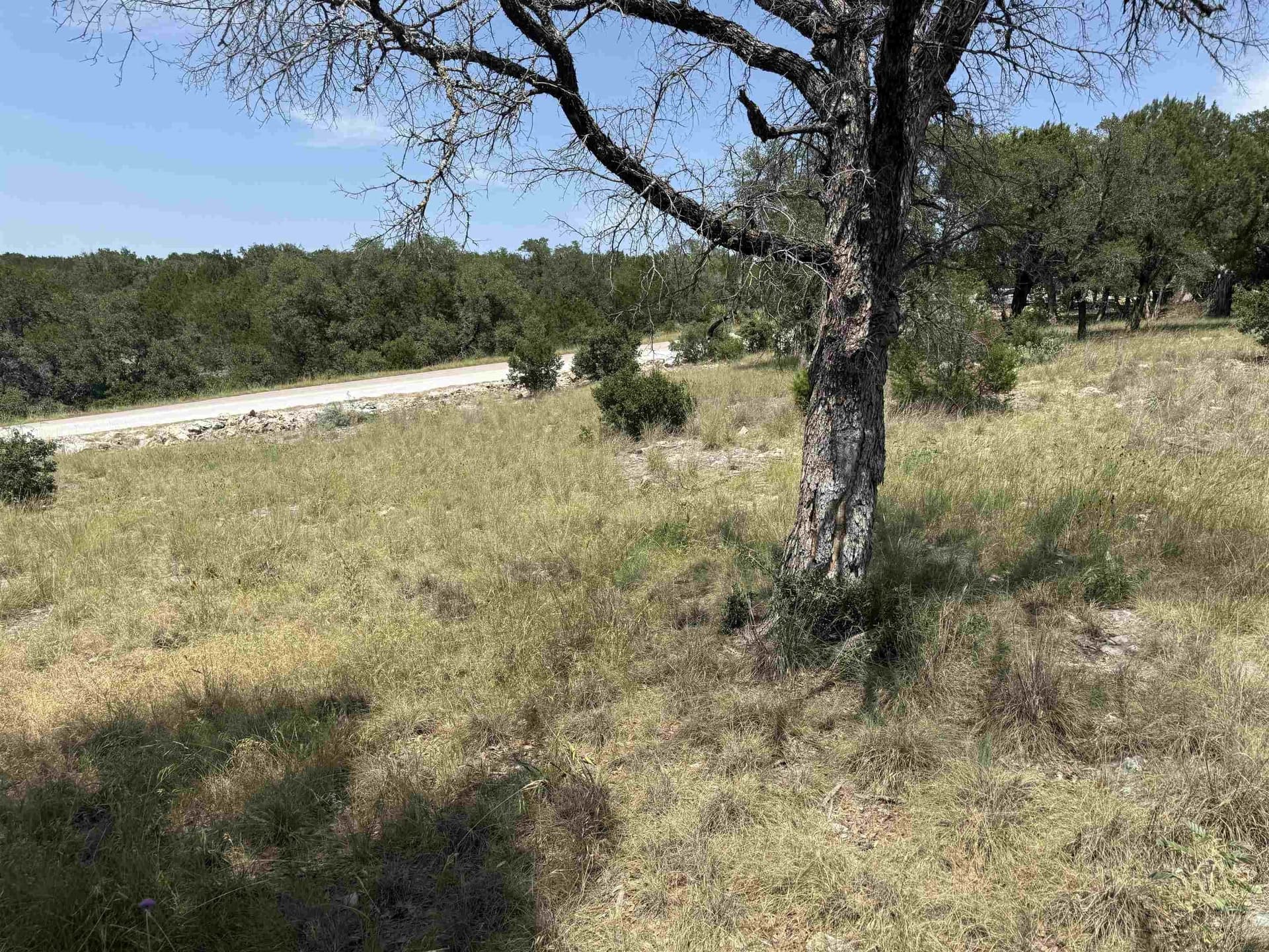 0.25 acres in Llano County - photo 24