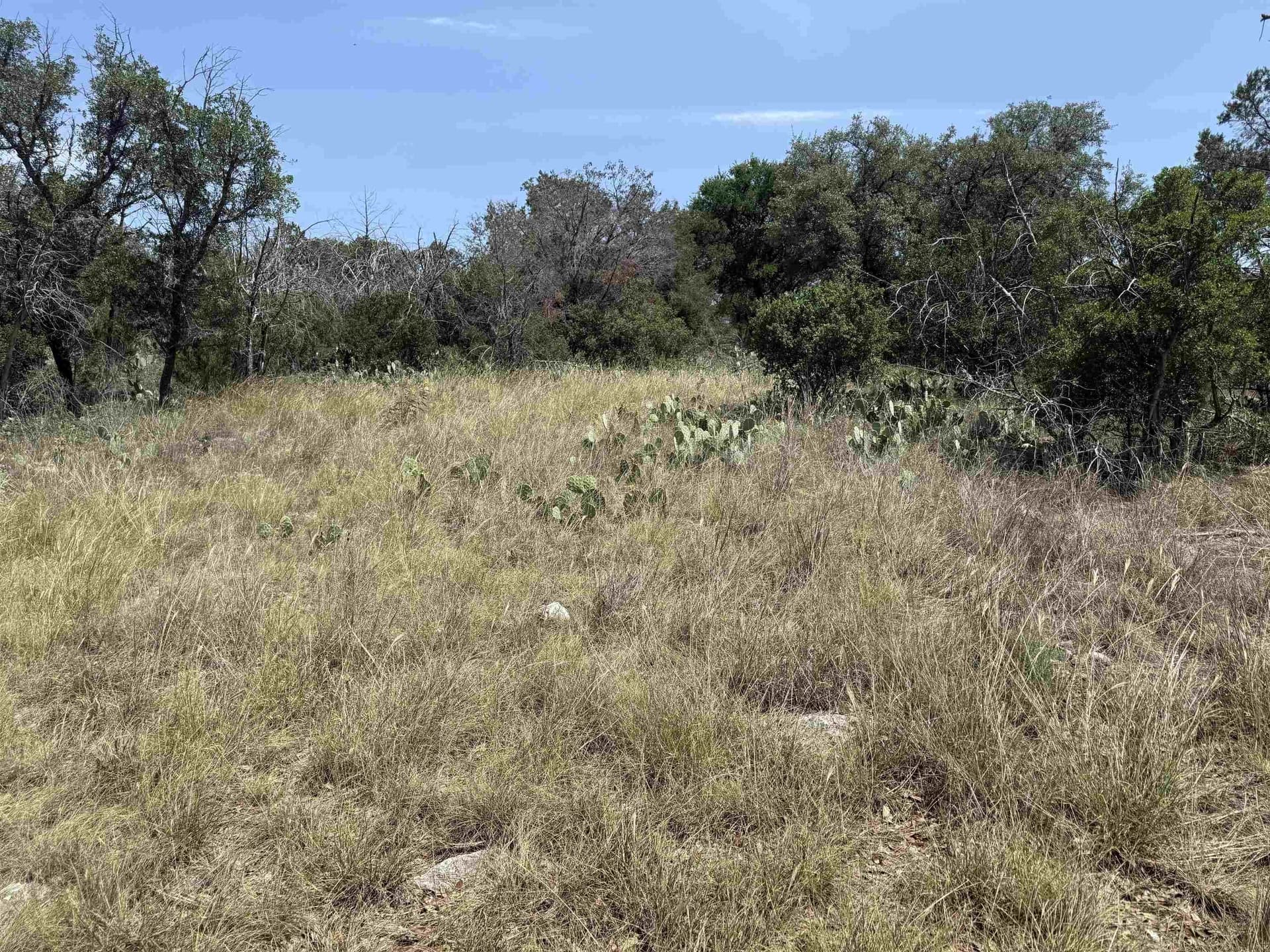 0.25 acres in Llano County - photo 22