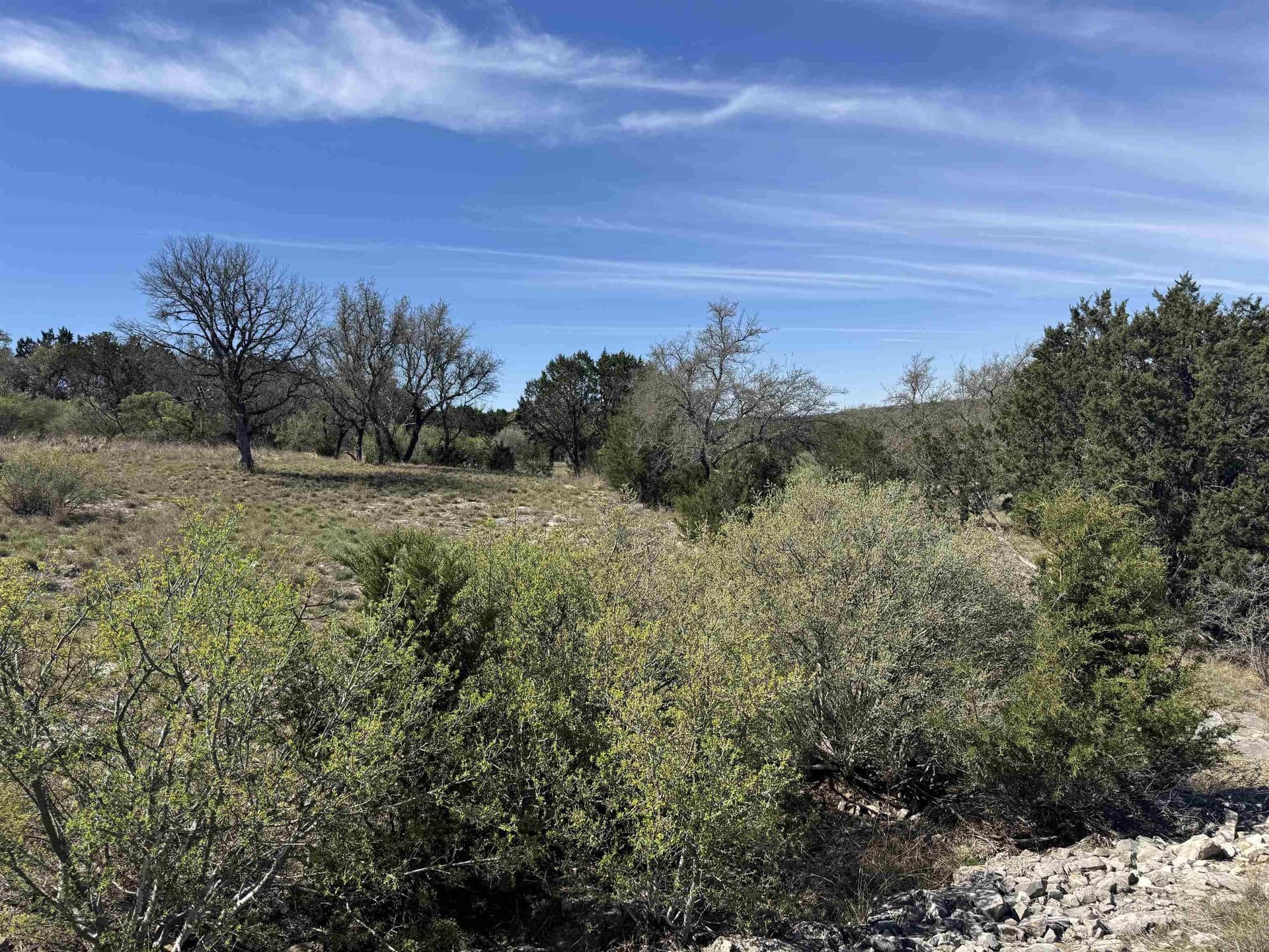 0.25 acres in Llano County - photo 29
