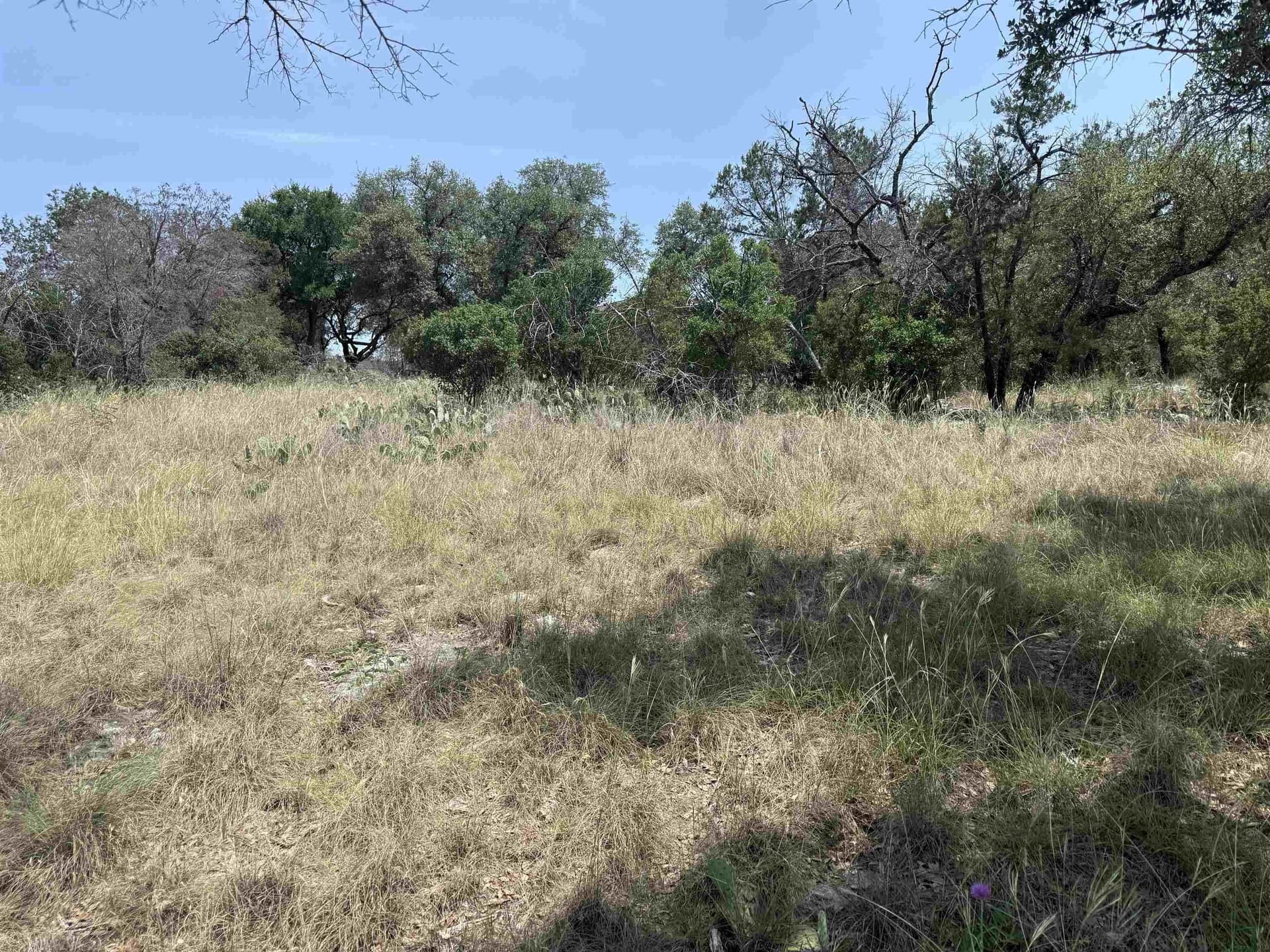 0.25 acres in Llano County - photo 19