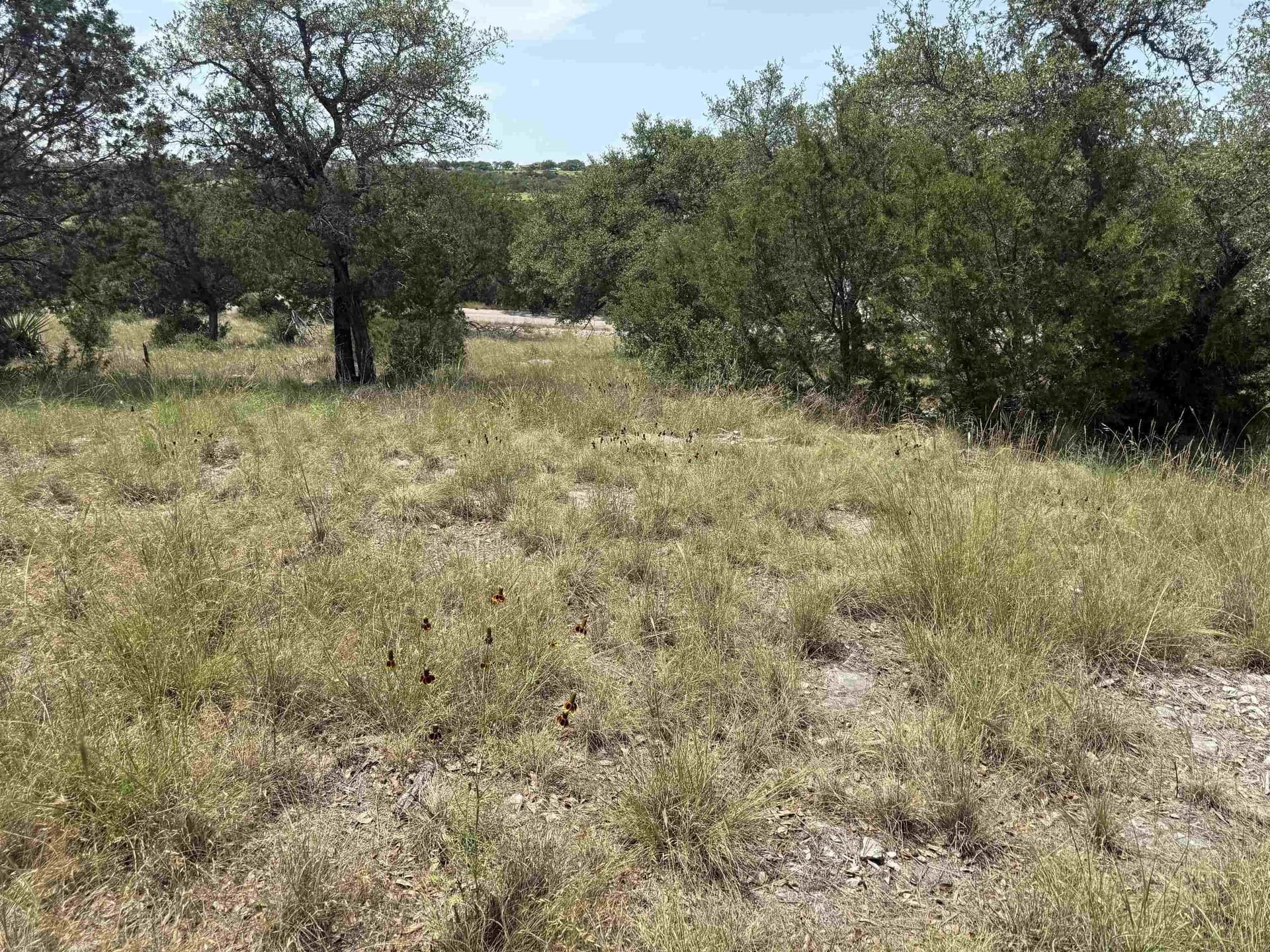 0.25 acres in Llano County - photo 17