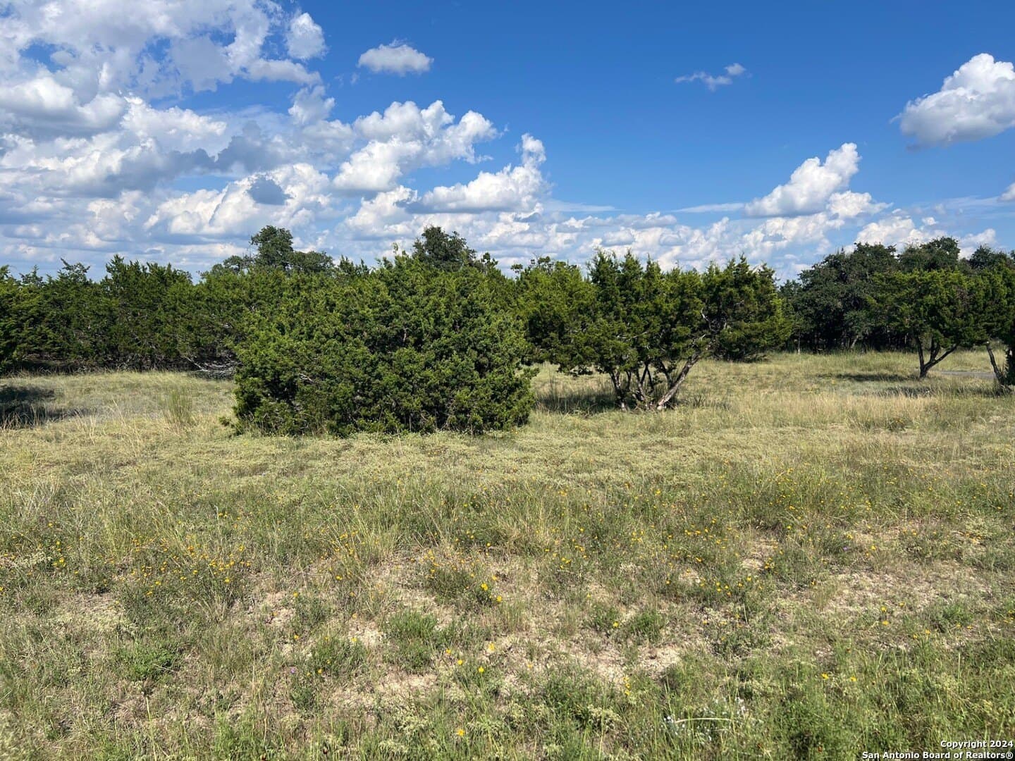 3 acres in Comal County gallery image 2