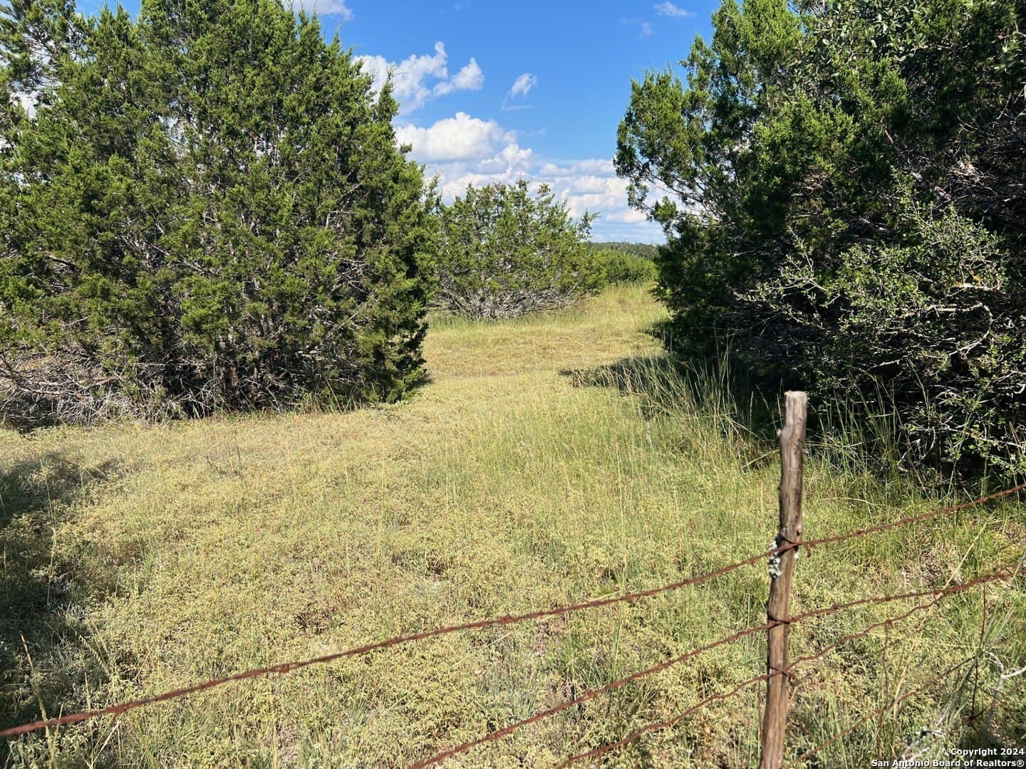 3 acres in Comal County - photo 6