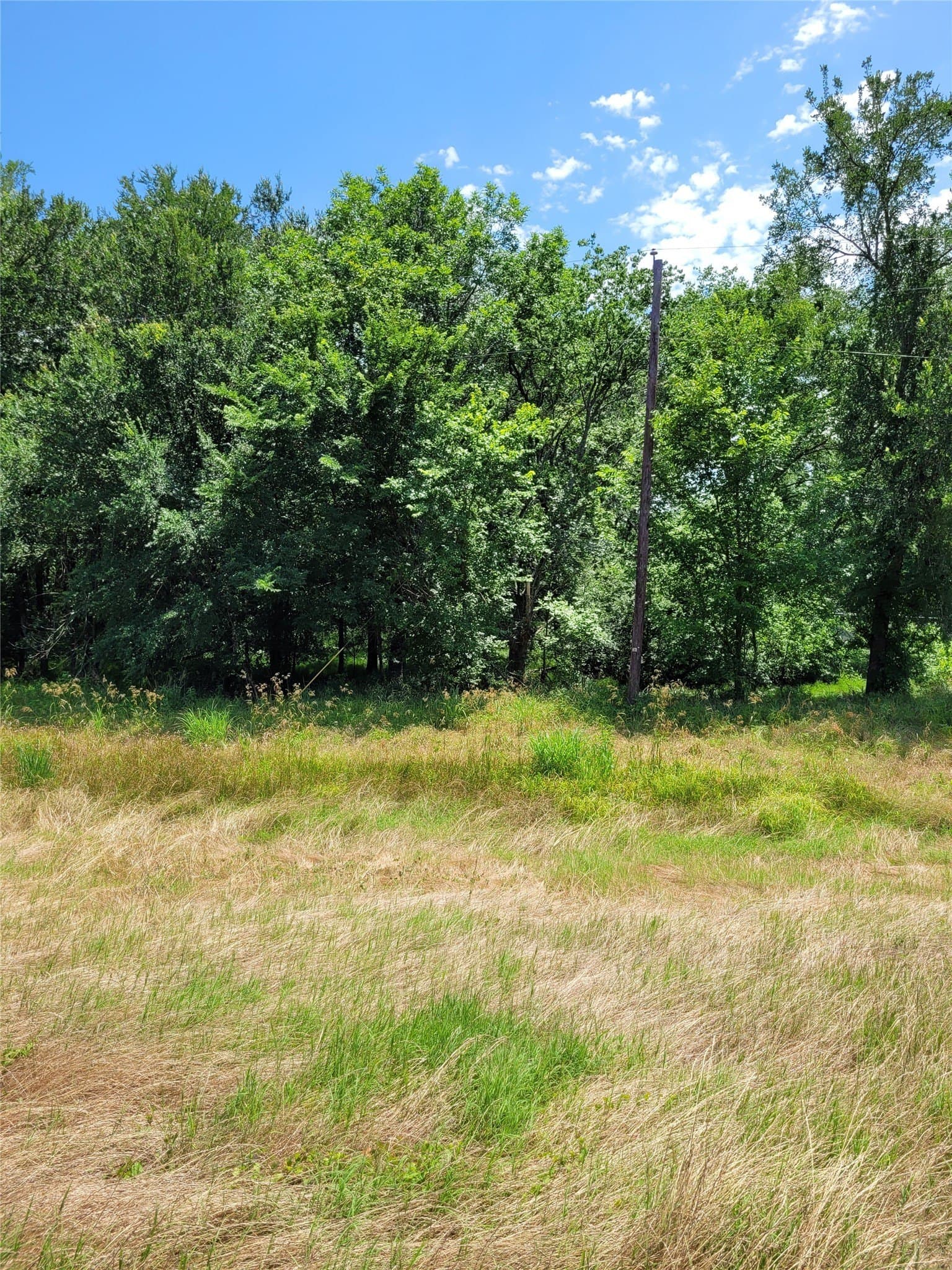 3.11 acres in Lamar County gallery image 2