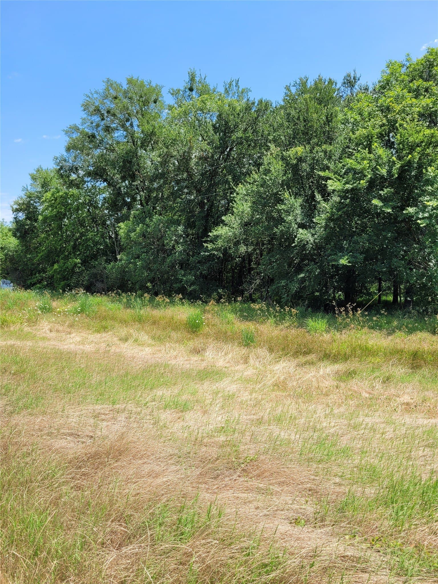 3.11 acres in Lamar County gallery image 3
