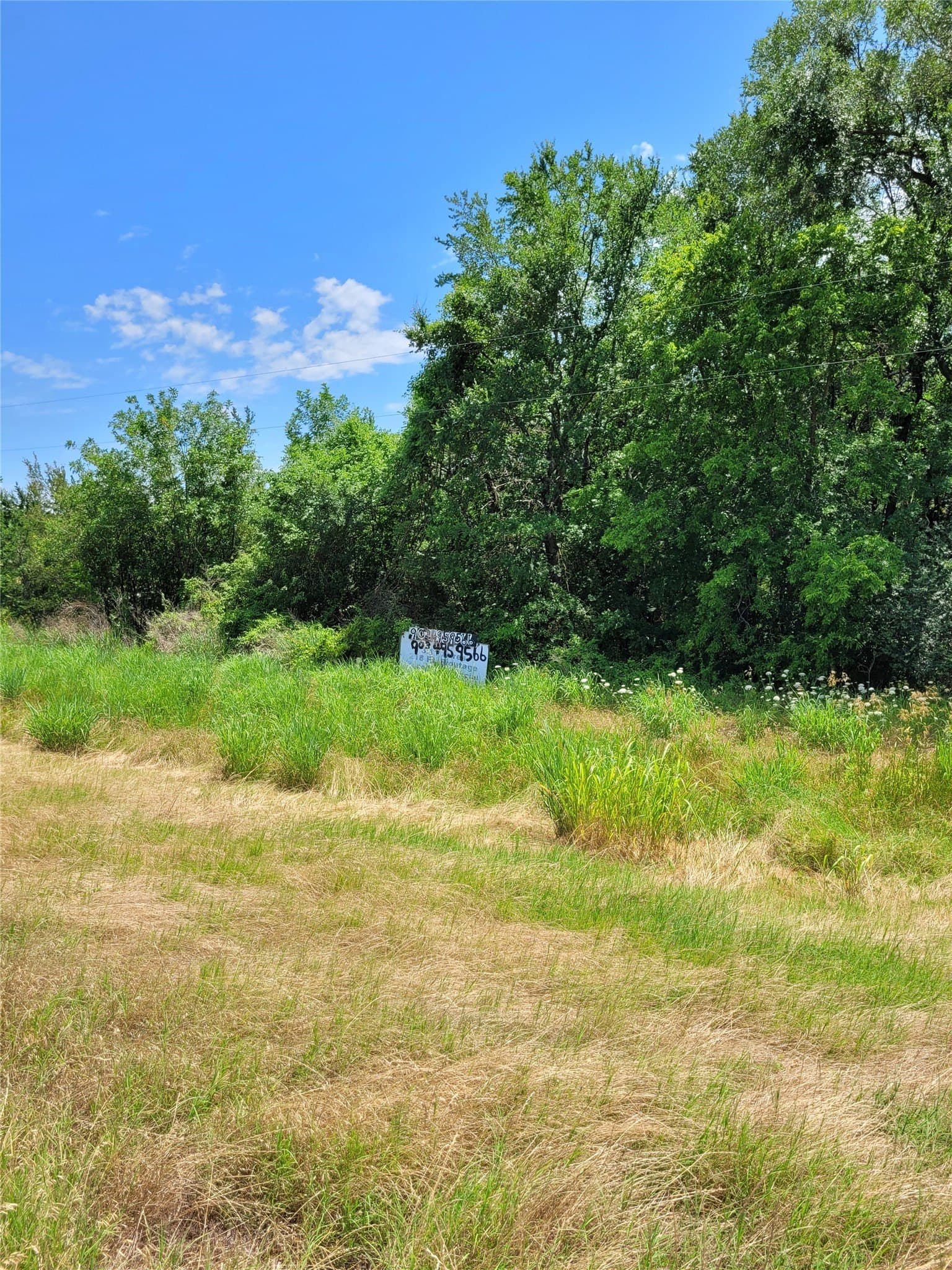 3.11 acres in Lamar County featured view