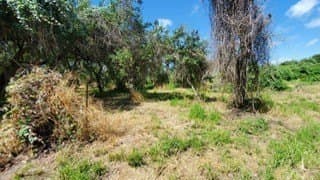 0.45 acres in San Patricio County - photo 3