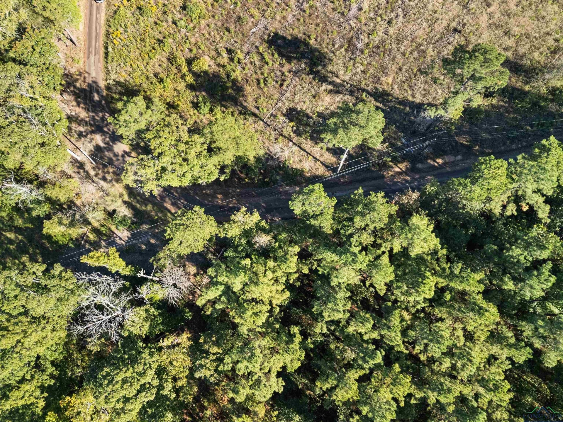 36.71 acres in Texas County gallery image 2