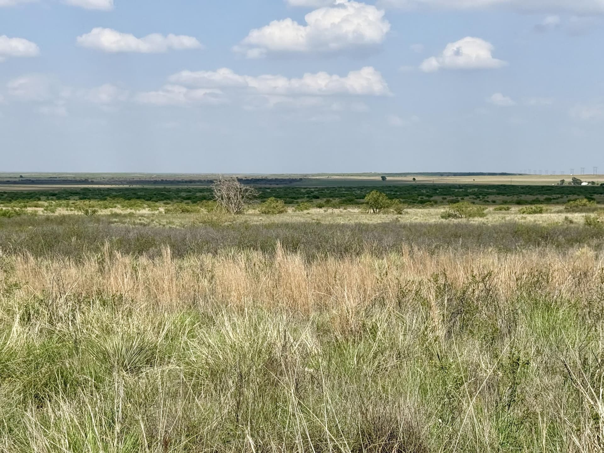 150 acres in Motley County - photo 34