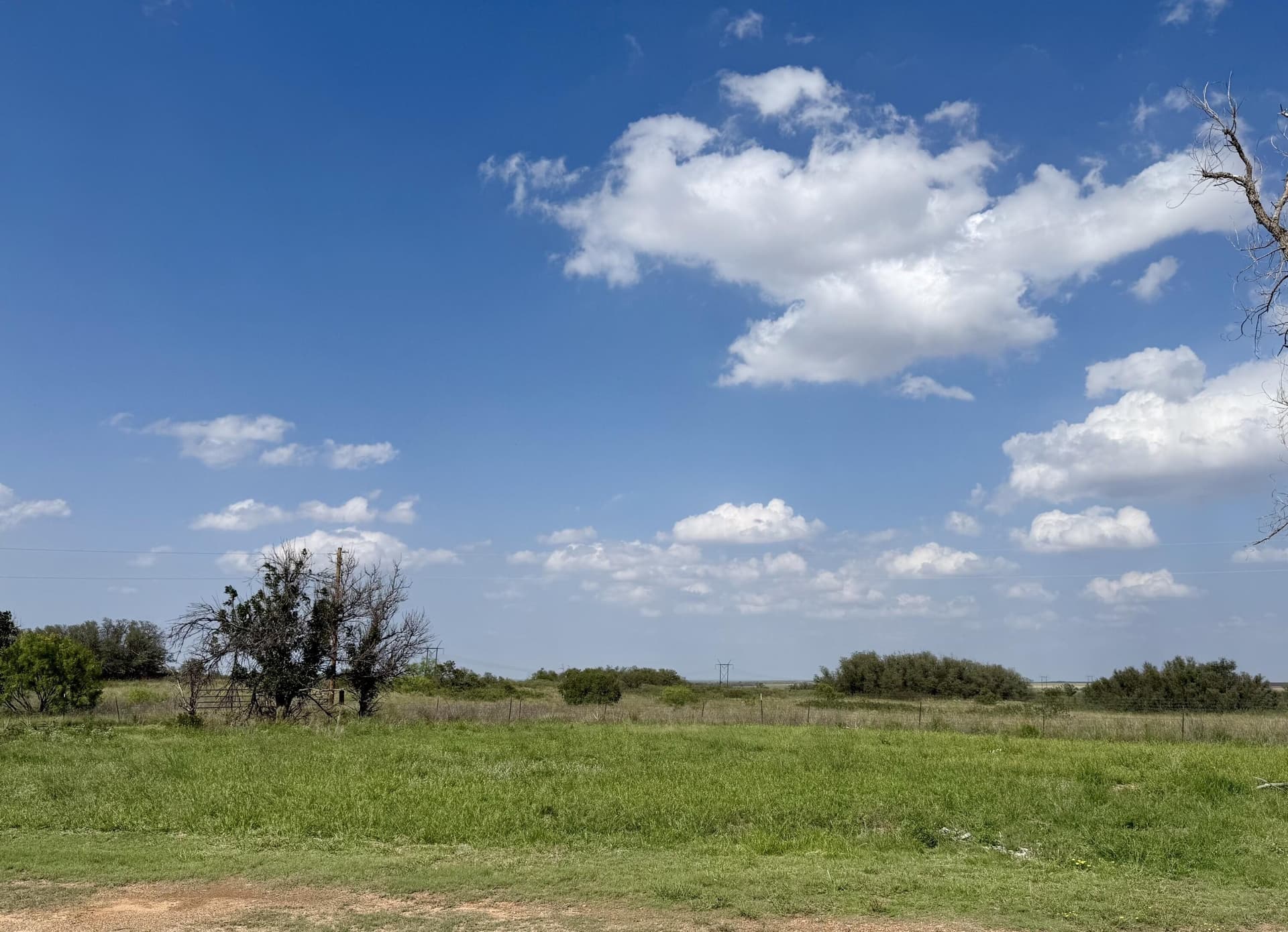 150 acres in Motley County - photo 23