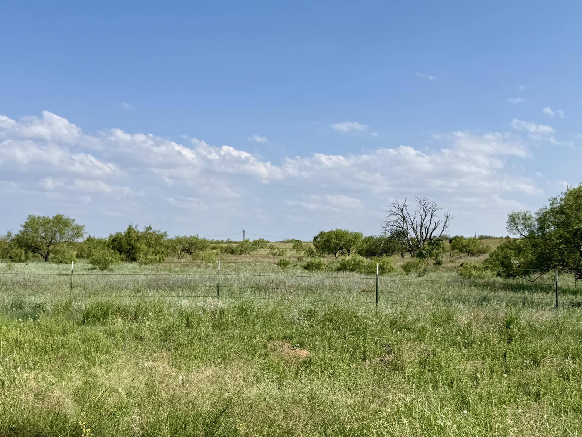 150 acres in Motley County - photo 35