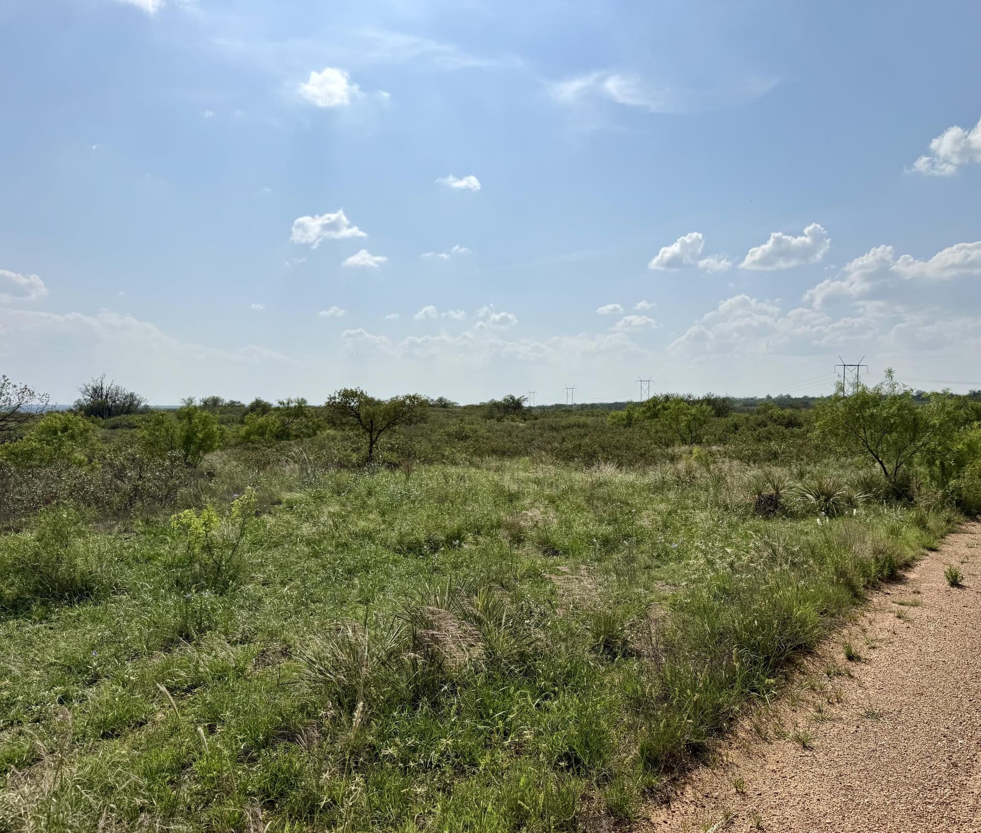 150 acres in Motley County - photo 32