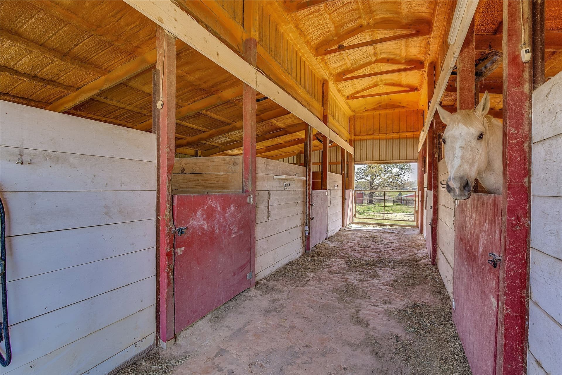 20.01 acres in Hopkins County - photo 34