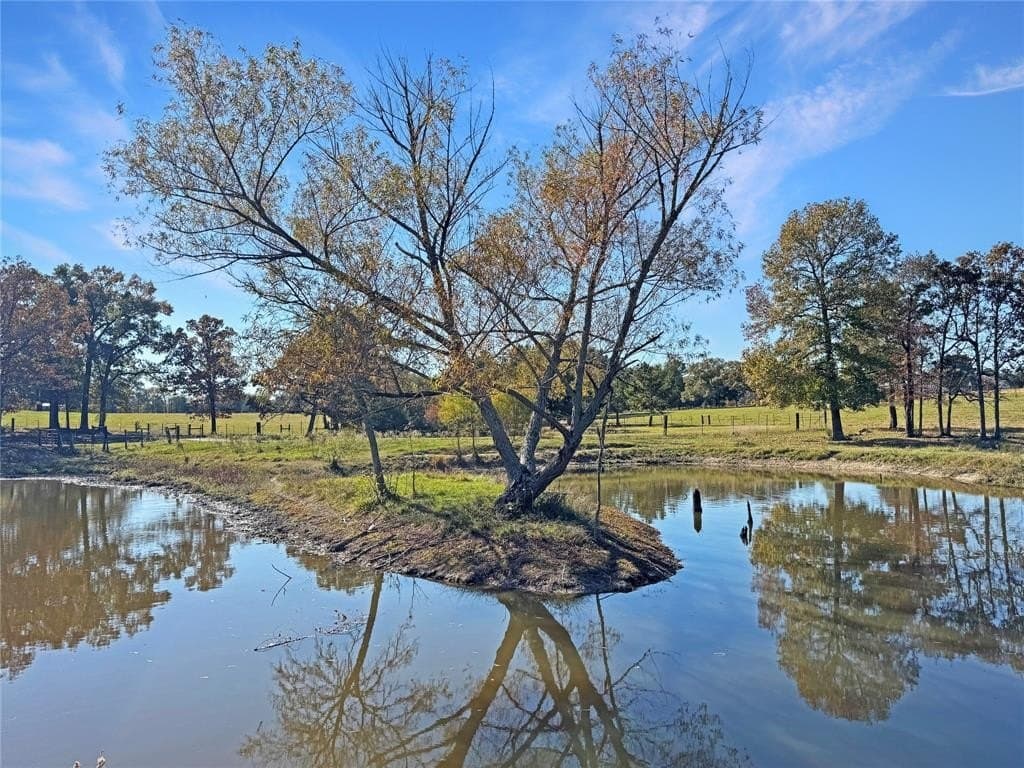 17 acres in Van Zandt County gallery image 3