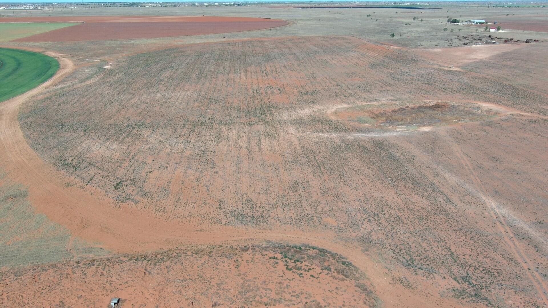 240 acres in Yoakum County gallery image 3