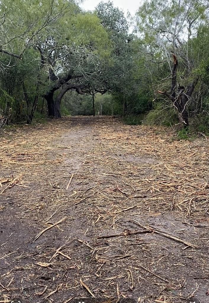 13.53 acres in Texas County