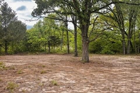 1 acres in Henderson County gallery image 3