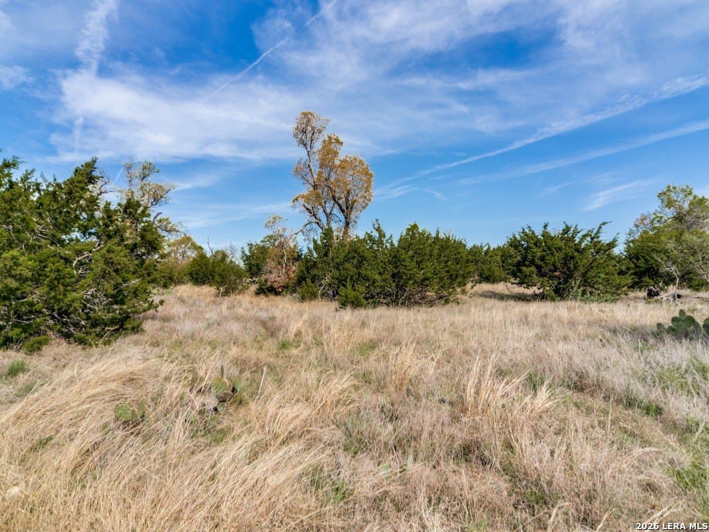 22.01 acres in Gillespie County - photo 43