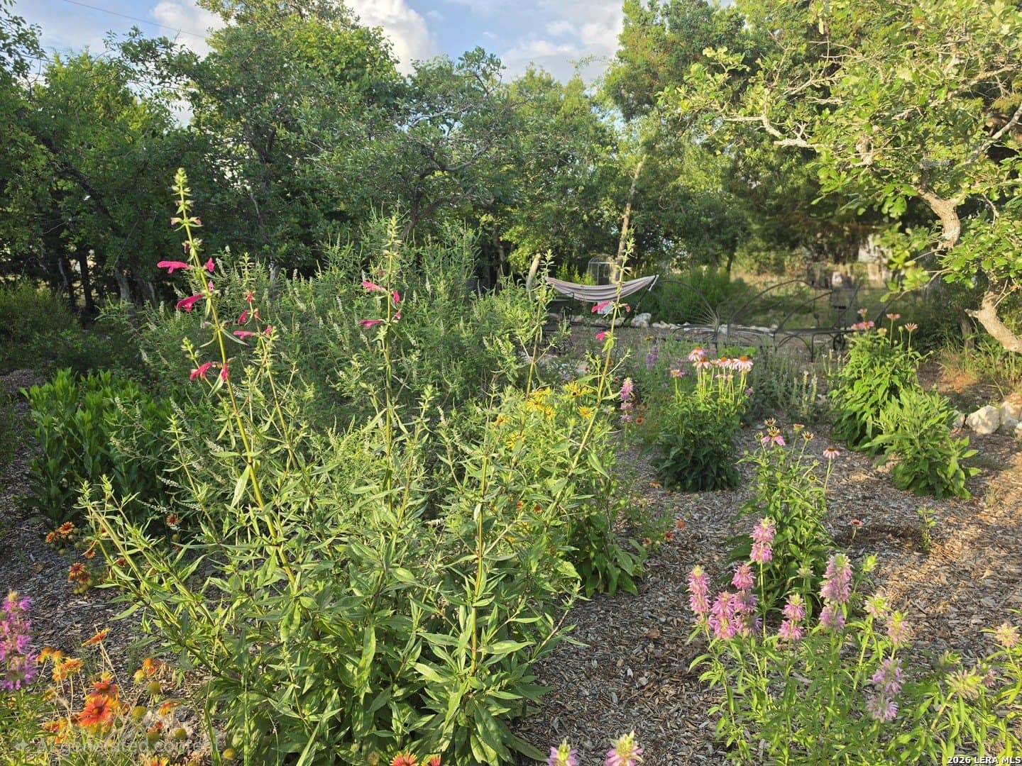 22.01 acres in Gillespie County - photo 41