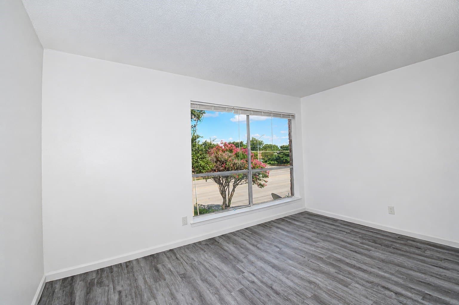 10.2 acres in Dallas County - photo 10