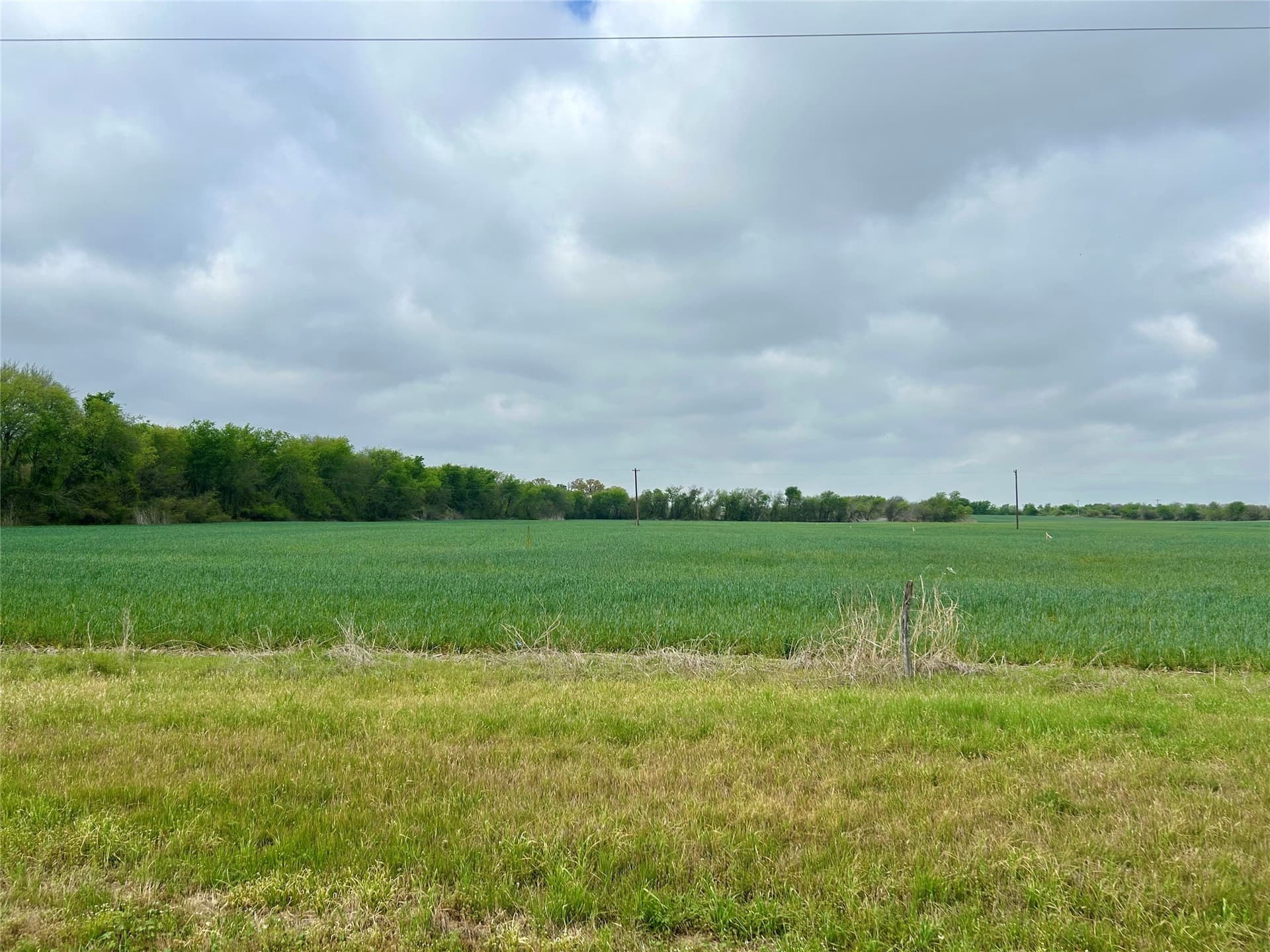 38.57 acres in Hill County - photo 13