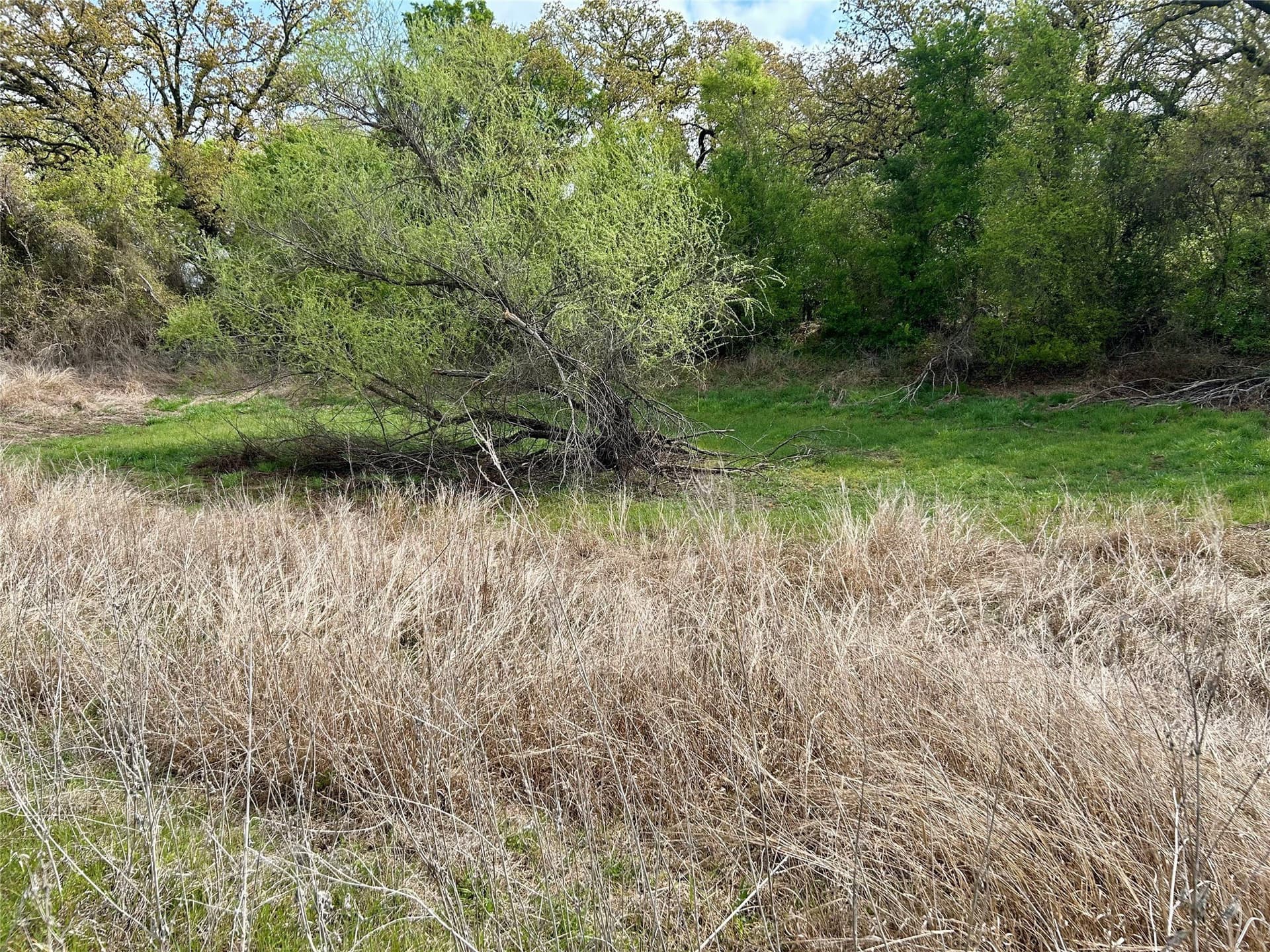 38.57 acres in Hill County - photo 20