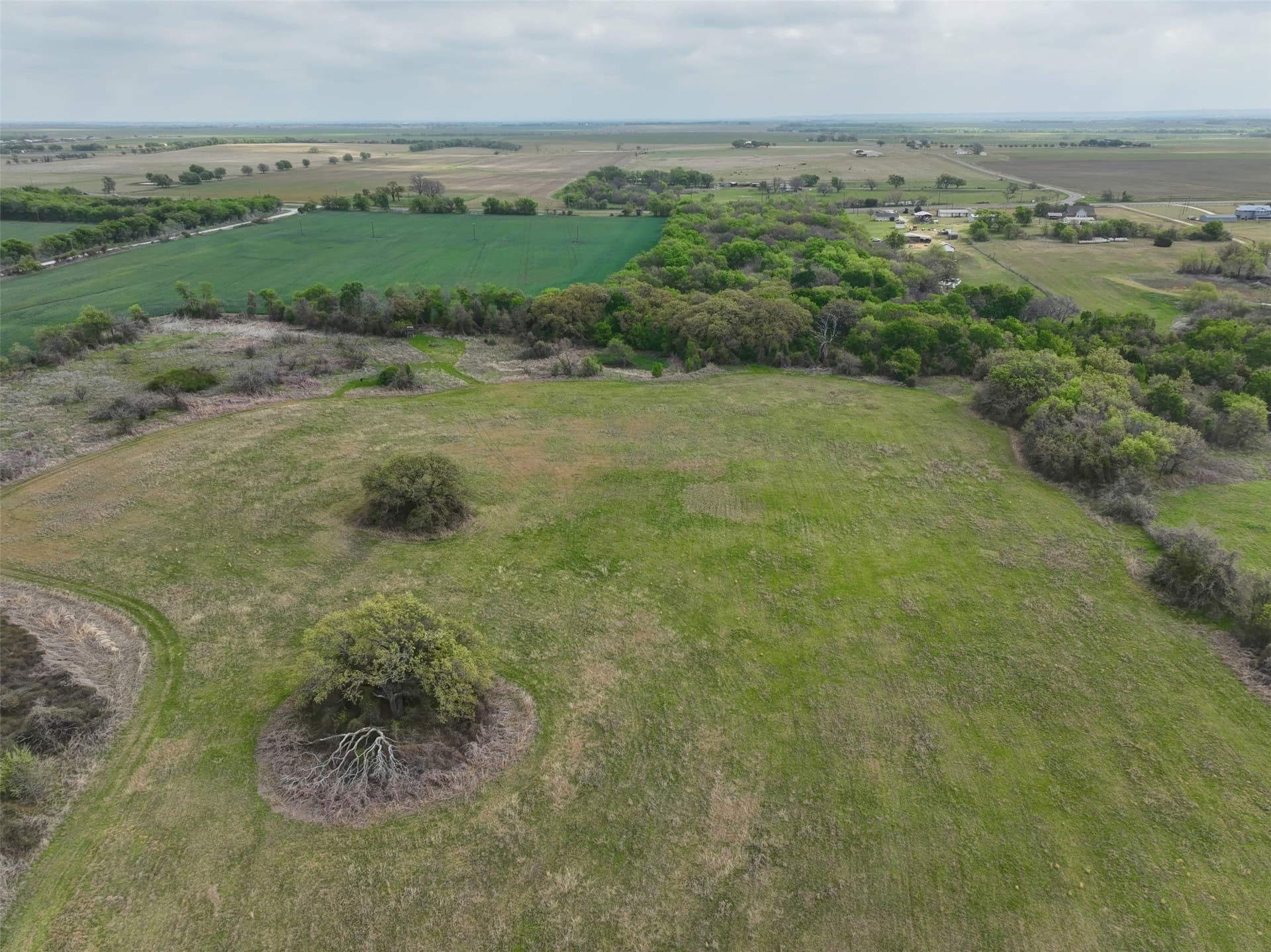 38.57 acres in Hill County - photo 9