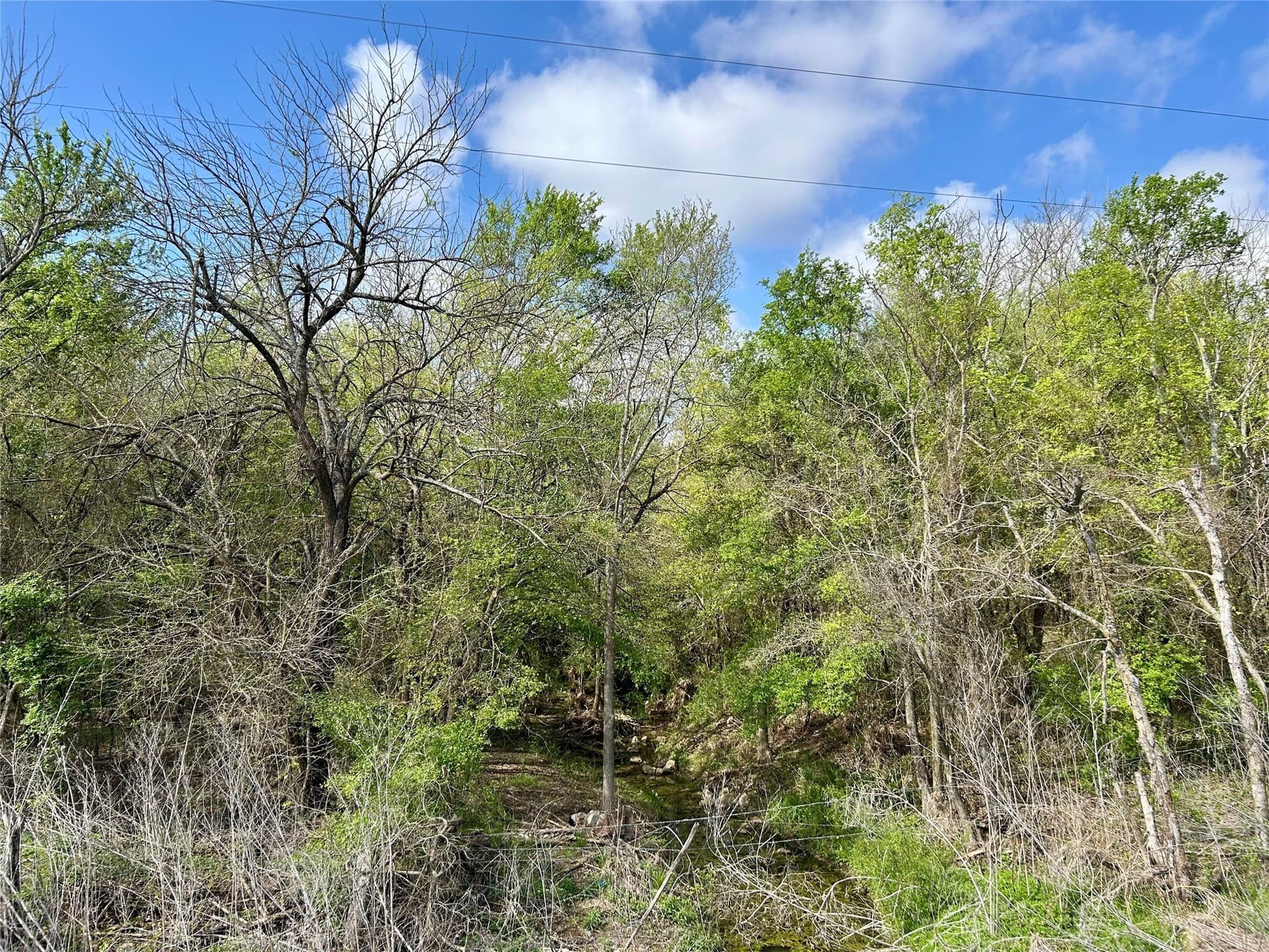 38.57 acres in Hill County - photo 22