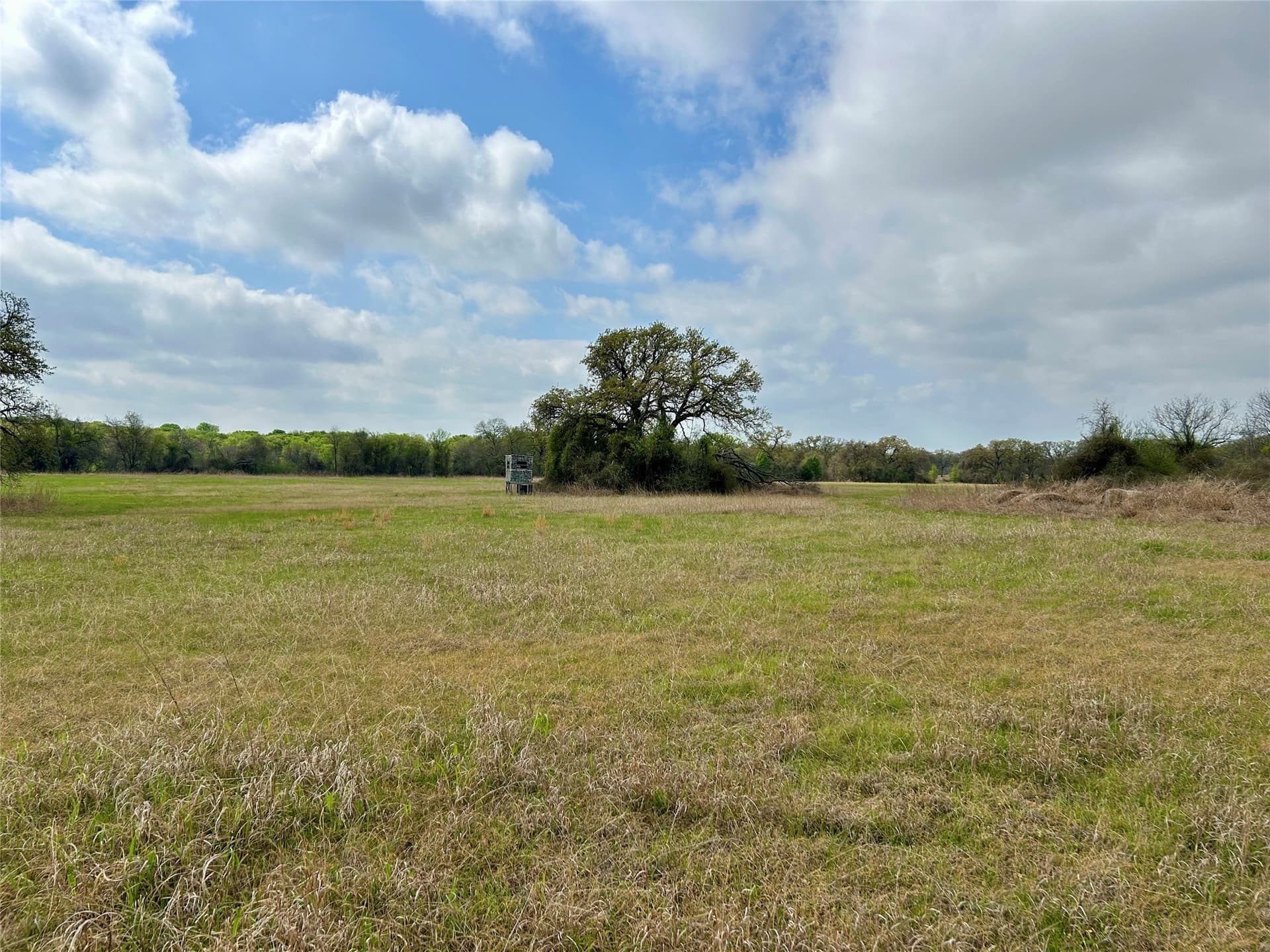 38.57 acres in Hill County - photo 18