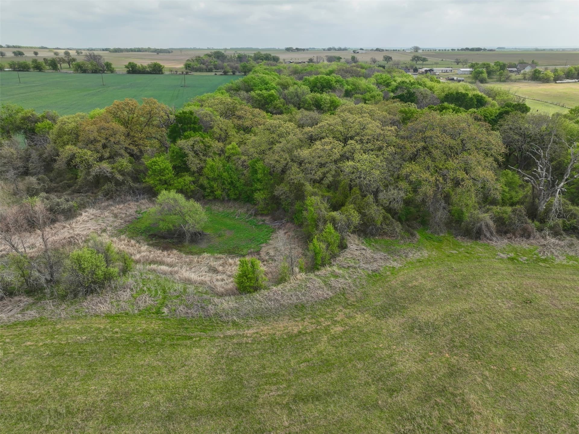 38.57 acres in Hill County - photo 11